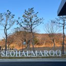 UR(화성시)-[서해로]-상-1 | 🐠 화성 궁평항 숨은 회 맛집 발견 👀 신서해회집 가족 식사 후기!