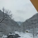 명동산장펜션 이미지