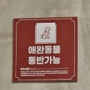 제주 열정돈 내돈내산 솔직 후기