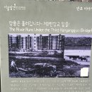 강남아파트(5동 앞)