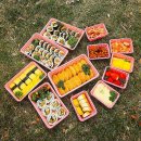 피크닉 도시락 이미지