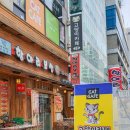 사바나 코쉬카 이미지