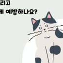 연희동물병원 이미지