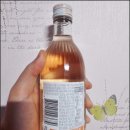 라이트바디짐 | 20260303_1일1술: 일반증류주, 새로 살구