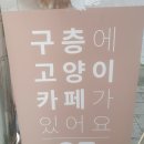 고양이별 캣 카페 네이버블로그