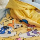 엘림세탁 이미지