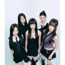 C.T.종합동물병원 이미지