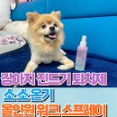 늘푸른동물펫케어주식회사 | 🌿 강아지진드기 걱정 끝! 산책 후 필수템 올인원 스프레이 사용 후기