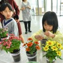 통진도서관 이미지