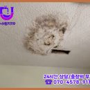 광암동 화장실 이미지