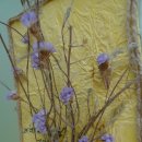 해븐리병원 이미지