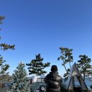 더무빙카라반캠핑 | [부산 데이트] 부산 감성 글램핑 더무빙 카라반 할인방법 연말 방문 후기