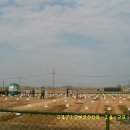 강천농장 이미지