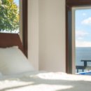 여울애견 이미지