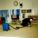 세메스어린이집 이미지