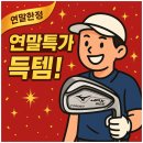 칠거제 | 거제 골프샵 연말 행사가로 미즈노 JPX925 포지드 아이언 득템한 후기