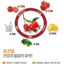 제이에스커뮤니티
