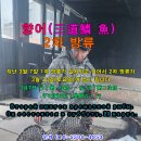 마정낚시터 이미지