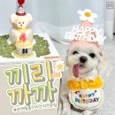 끼리까까 이미지