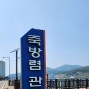 신전앵간다숲