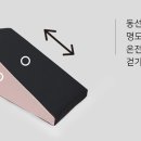 체리애견 이미지