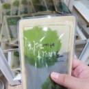 자연한의원 이미지