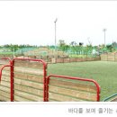 남해스포츠파크 풋살경기장 이미지