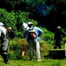 불밝히는집 이미지