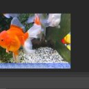 만물백화점 이미지