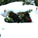 함평자연생태공원 이미지