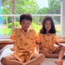 가든인제주 | 제주도독채펜션 가든인제주 숲속빌라 프리미어 이용후기