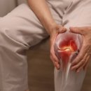 더 케이 짐 이미지