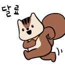 루루마루 이미지