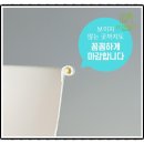 친환경포장재 환경도 지키고, 기분도 업! [바우에코팩]자사몰 ECO PACK 솔직후기