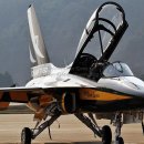 블랙이글 이미지