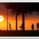 유미비디오 이미지