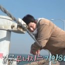 디저트파도