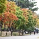삼천궁여