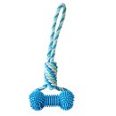 덴탈투유 이미지