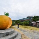 감귤박물관 이미지
