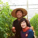 산해농장 이미지