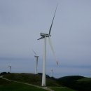 파란하늘목장 이미지