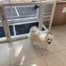 햇살동물병원 이미지