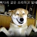 홍신