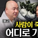 죽음이 인간에게 최고의 선물인 이유ㅣ지식인초대석 EP.22 (성진 스님, 하성용 신부님 2부) 이미지