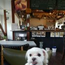 제주아씨 이미지