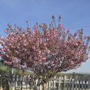 산아래민박 이미지