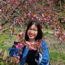 스포츠서산