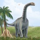 공룡백과-누로사우루스 이미지