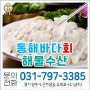 동해바다회해물수산